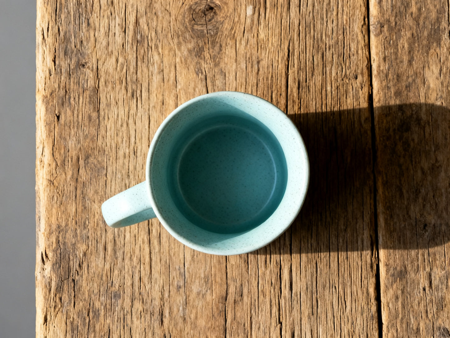 Snowfall Speckle Mug (SET OF 2)